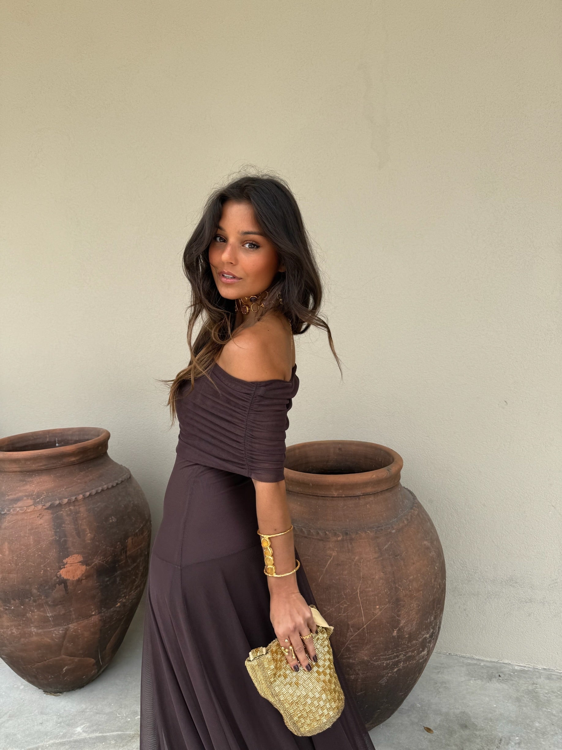 Toledo Dress in Brown