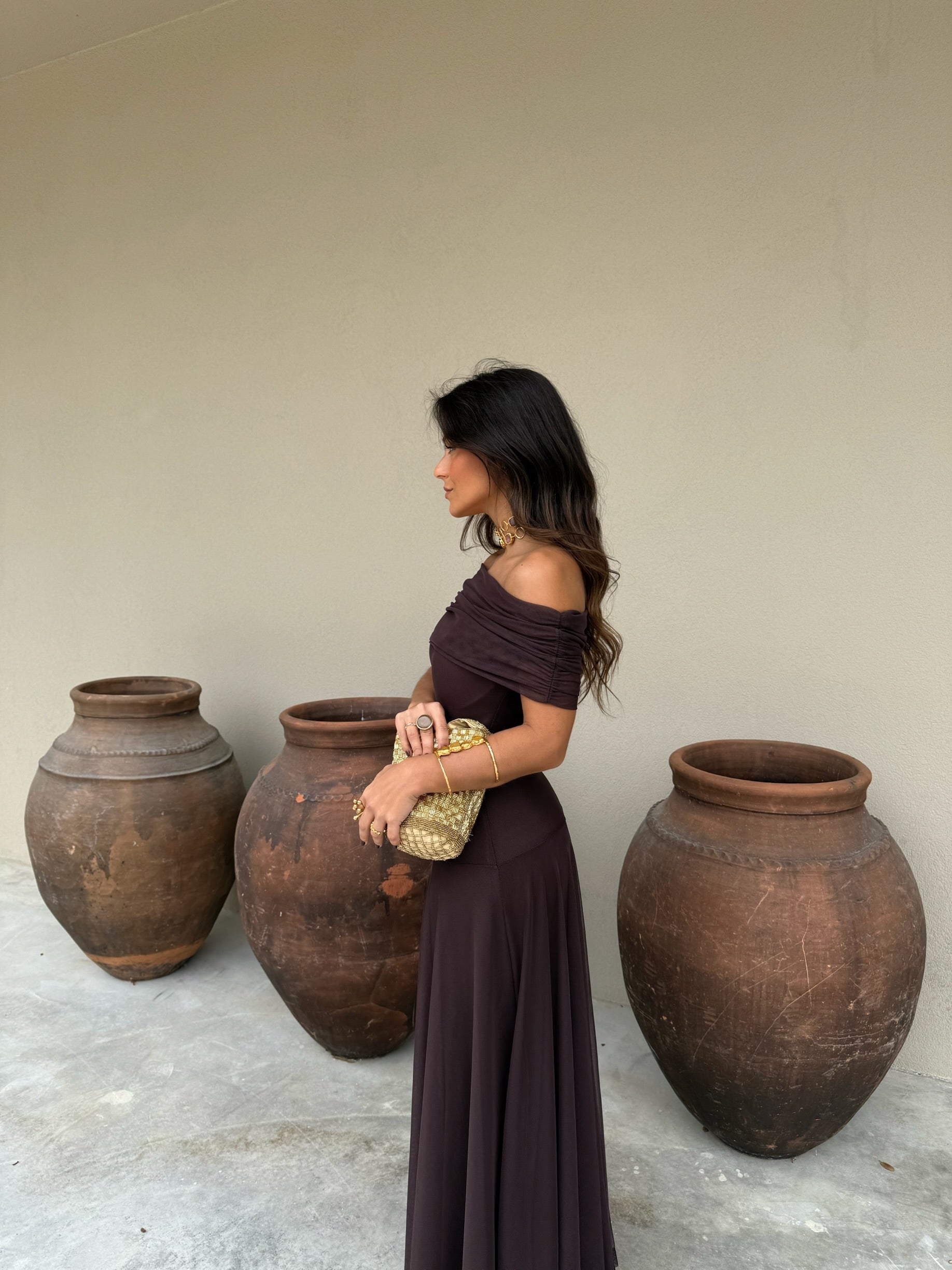 Toledo Dress in Brown