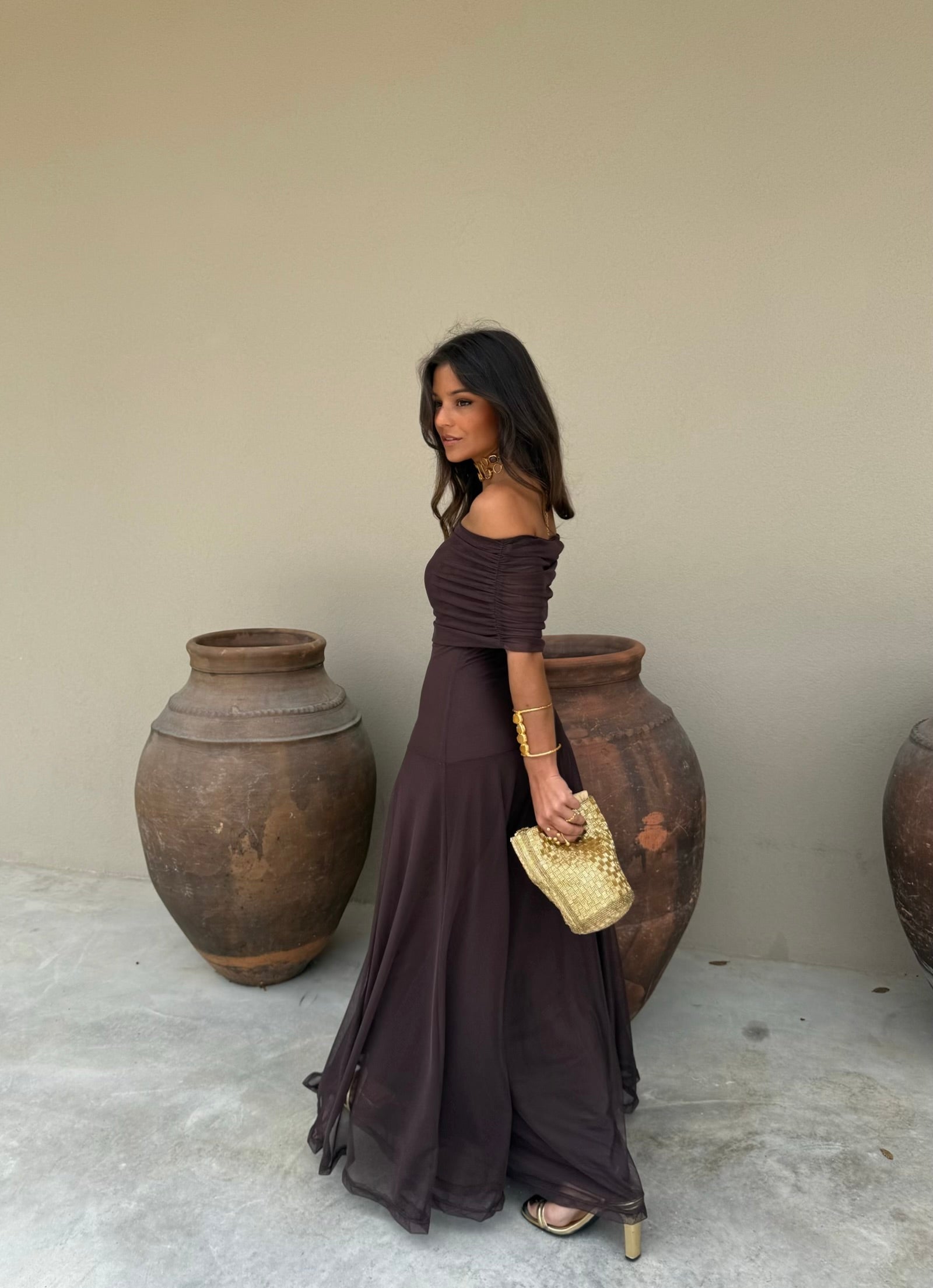 Toledo Dress in Brown