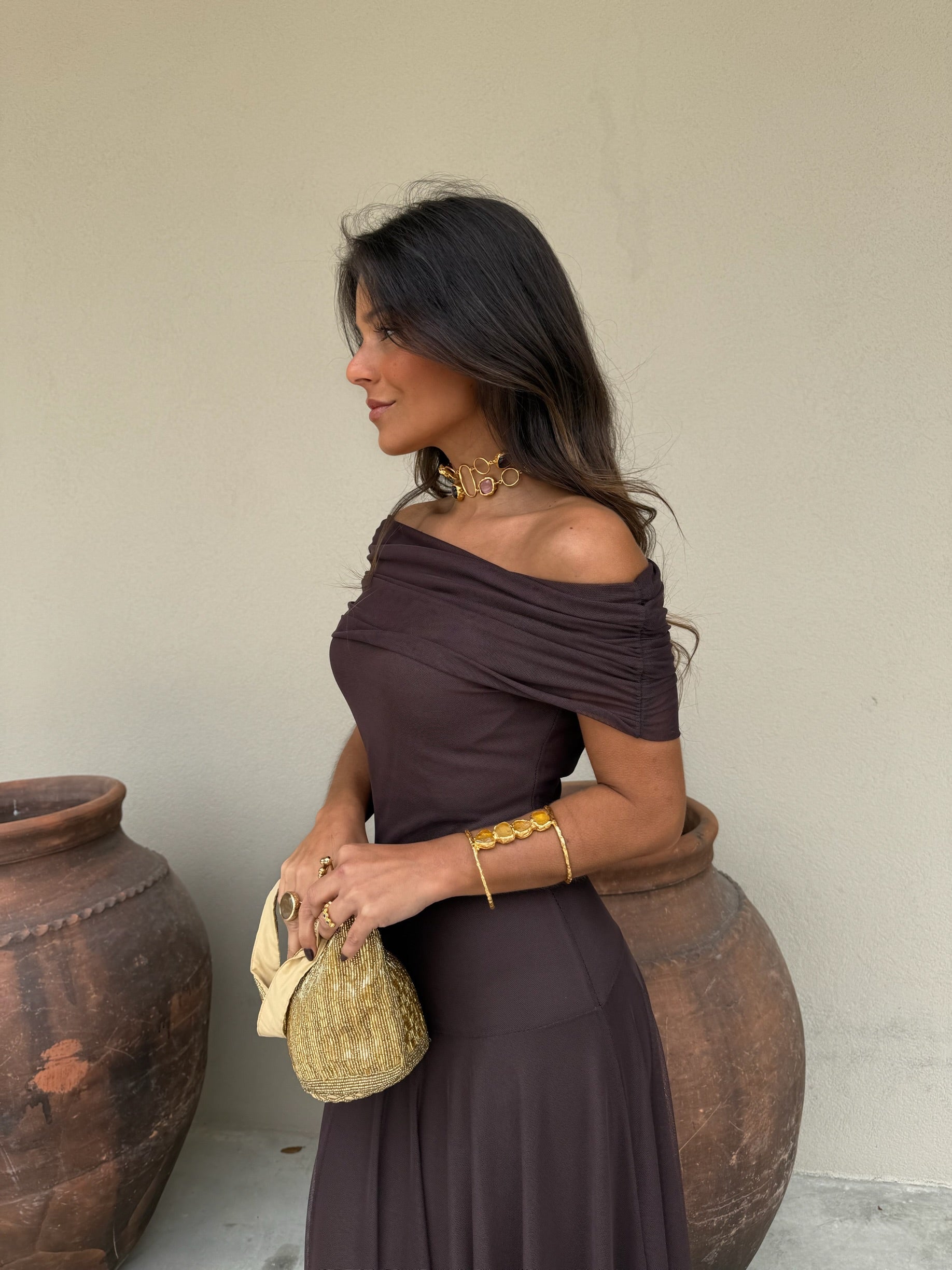 Toledo Dress in Brown