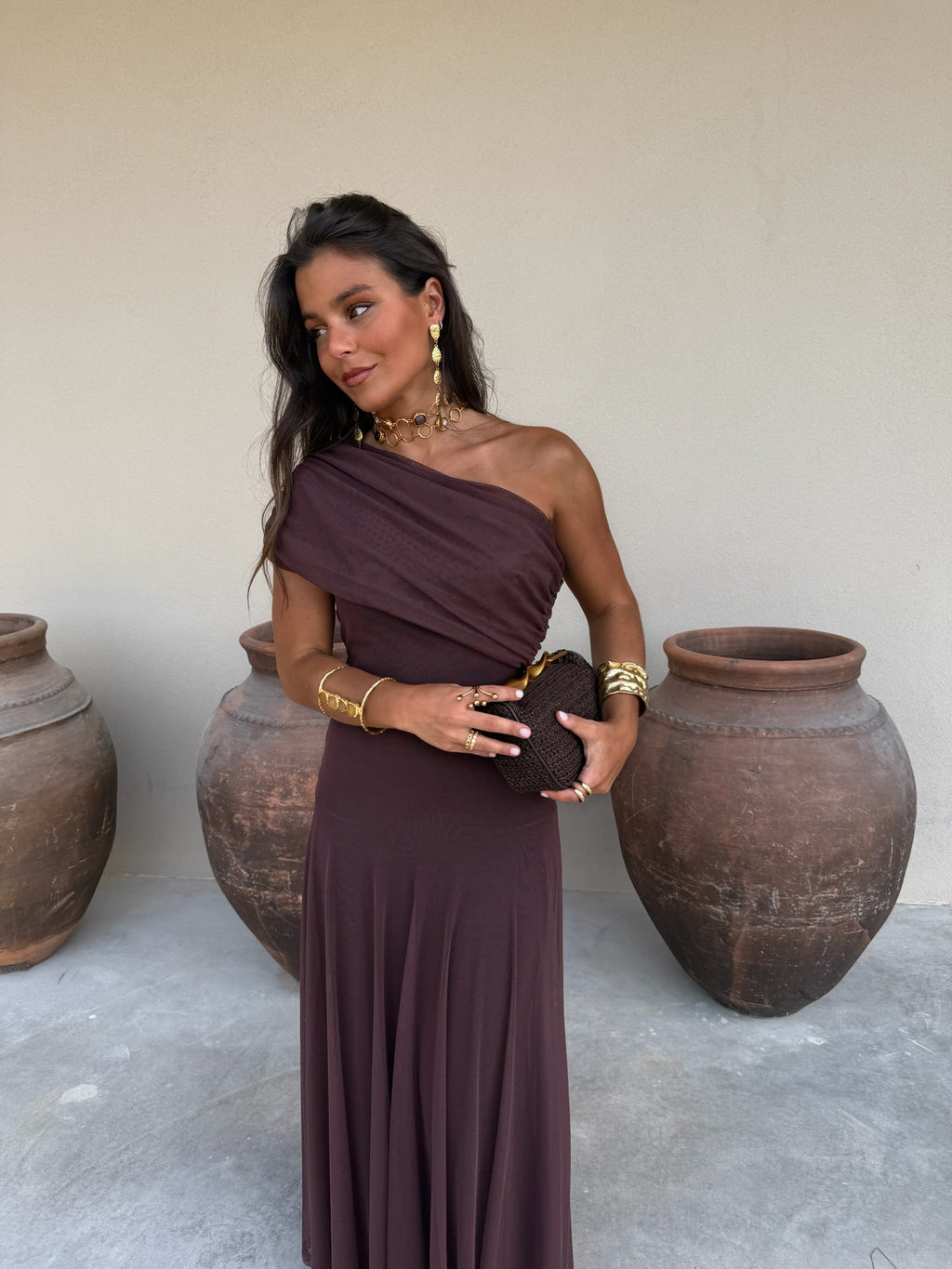 Toledo Dress in Brown